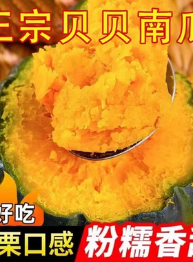 贝贝南瓜正宗板栗味甜糯小南瓜新鲜蔬菜儿童孕妇辅食粉糯香甜整箱