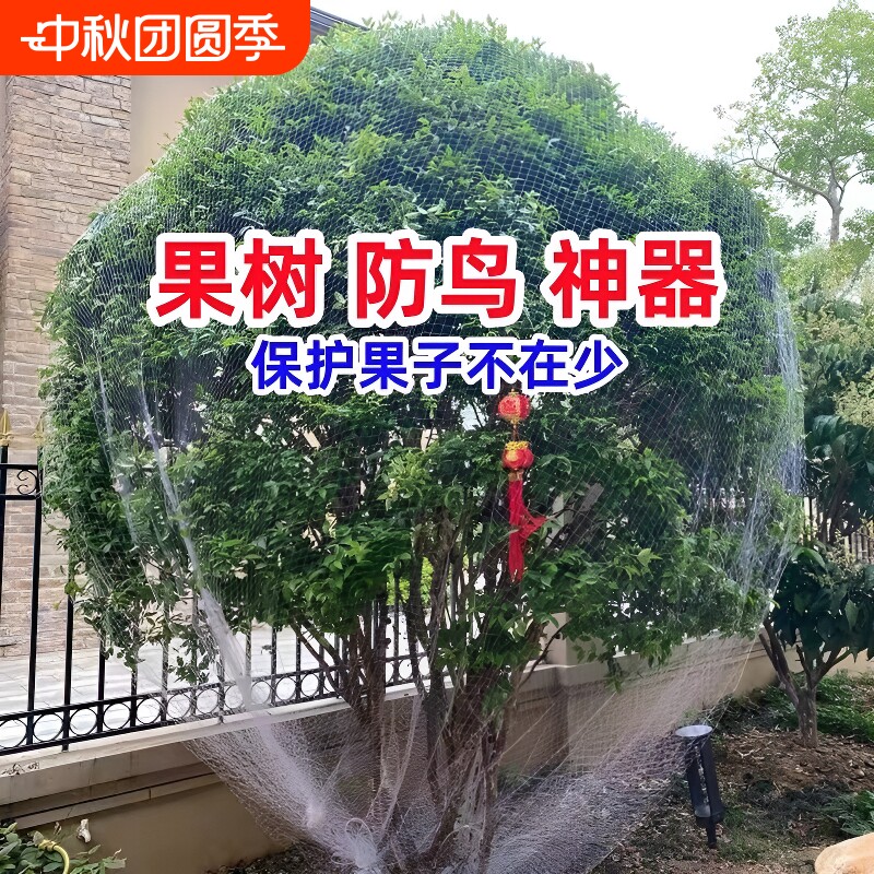 防鸟网果园专用|超2000次加购图片