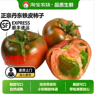 顺丰包邮正宗铁皮草莓柿子新鲜当季西红柿生吃水果东北番茄沙瓤