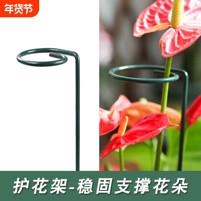 花架子铁艺支撑架室外花园月季花爬藤固定杆植物绣球撑花支架造型,鲜花速递/花卉仿真/绿植园艺,花架,淘宝优惠券,粉丝福利购,淘宝优惠卷