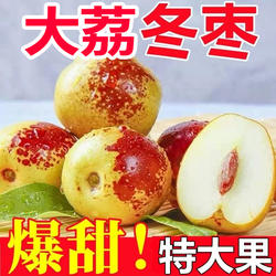 正宗大荔冬枣新鲜脆甜多汁冬枣新鲜红枣现摘孕妇可食应季水果当季