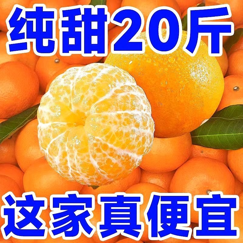 精品现摘沃柑云南新鲜水果超甜薄皮桔子耙耙柑批发大果食品纯甜