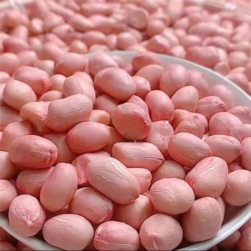 当季粉皮生大白沙花生米河南白沙新鲜菜榨油生吃