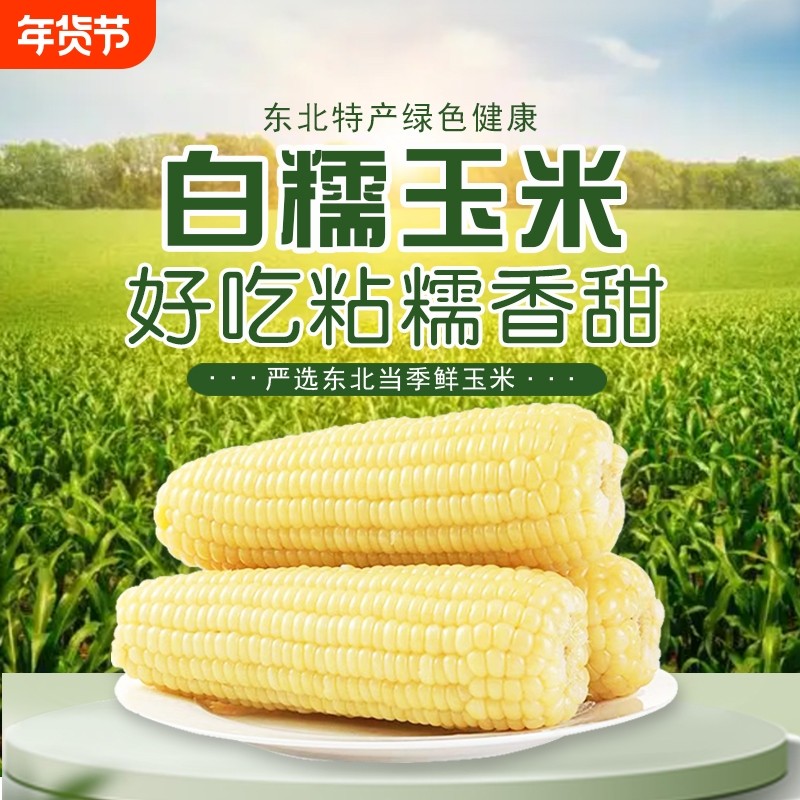 东北白糯玉米甜糯款黏糯鲜香粗粮代餐健康宿舍加热即食玉米粘苞米,粮油调味/速食/干货/烘焙,玉米,淘宝优惠券,粉丝福利购,淘宝优惠卷