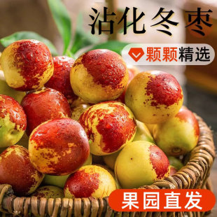 正宗山东沾化冬枣新鲜应当季 水果礼盒脆甜枣子大整箱5斤产地直发