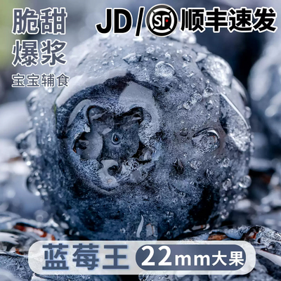 蓝莓鲜果新鲜水果云南l25蓝莓高山花香怡颗甜莓大果产地直发整箱