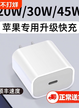 适用于苹果原装充电头快充iPhone15/16promax手机30W充电器头14/13/12plus平板PD45W闪充原20W正品17套装xr