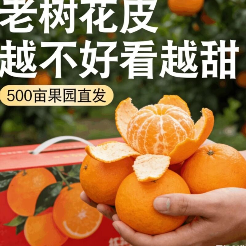 广西武鸣沃柑当季新鲜水果桔子橙子柑橘沃柑果园鲜果整箱产地直发