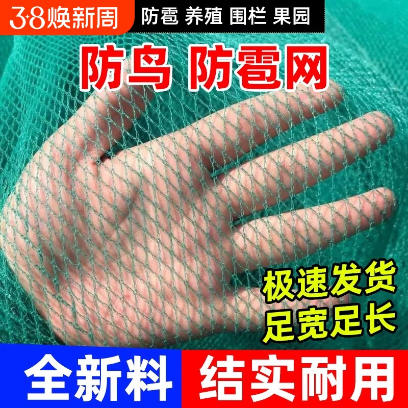 围网小网孔无结网养鸡网防鸟网养殖网尼龙网果树网冰雹网渔网