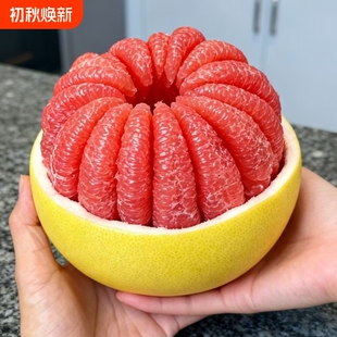 下拉11.2!广西红心蜜柚带箱5斤