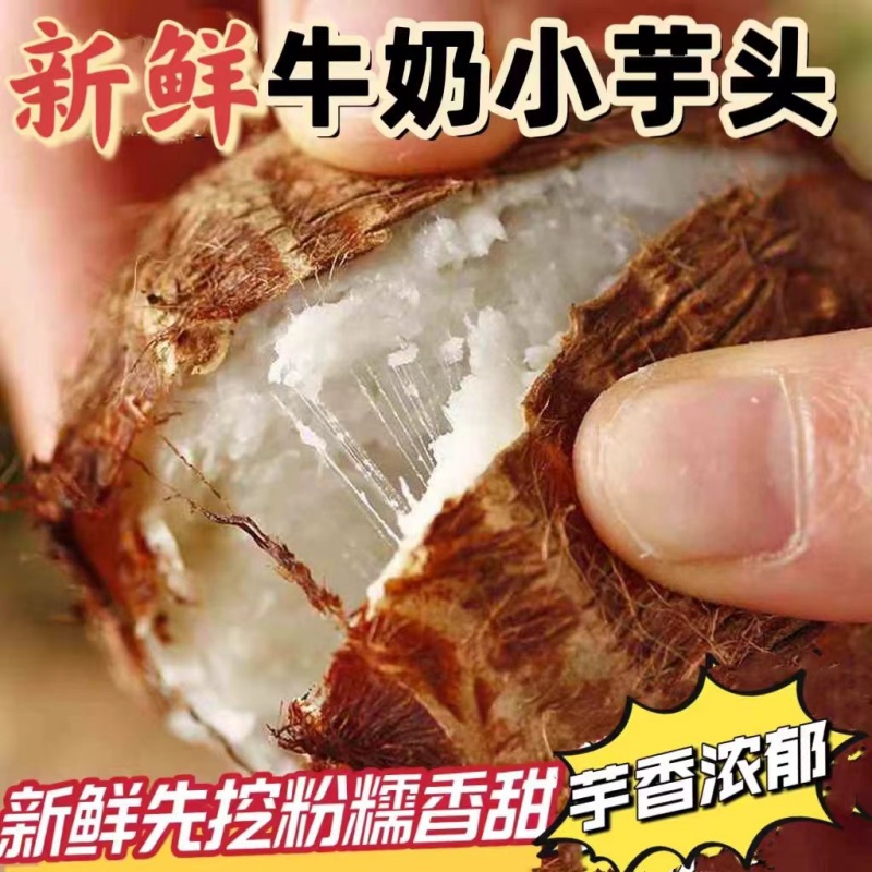 云南牛奶小芋头5斤毛芋头新鲜蔬菜小香芋槟榔芋芋艿农家自种