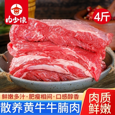 牛腩新鲜牛肉4斤国产黄牛肉