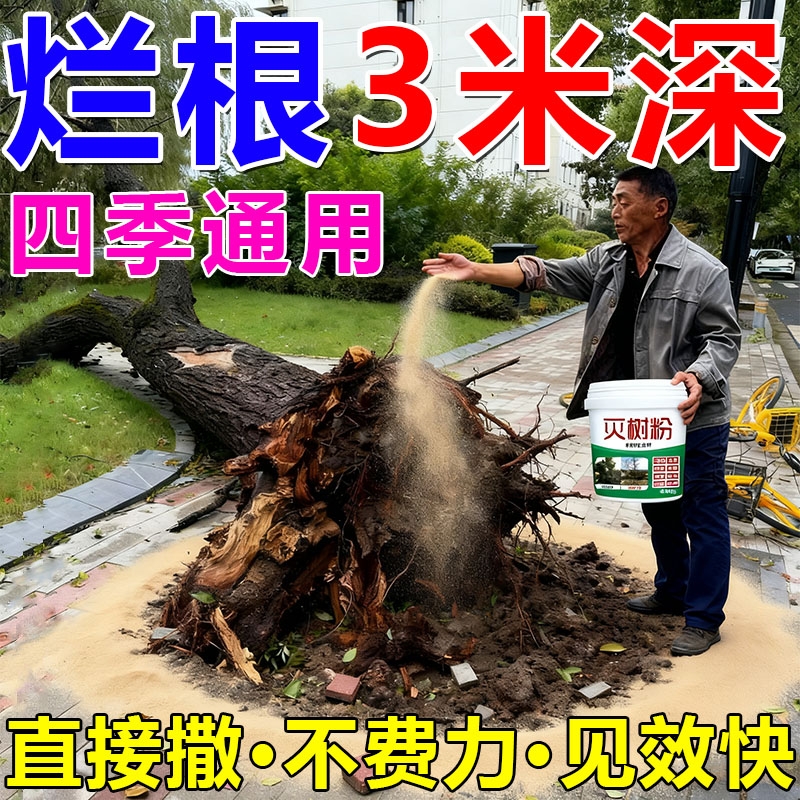 竹子根连根烂的药强力去竹粉清竹子灌木腐蚀竹根树竹草根绝A