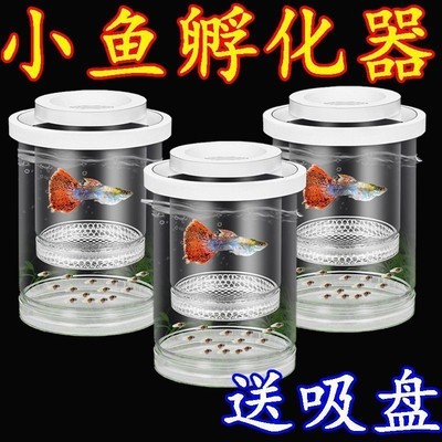 孔雀鱼繁殖隔离盒产卵桶母鱼孵化网产房小鱼幼鱼隔离透明产子产箱