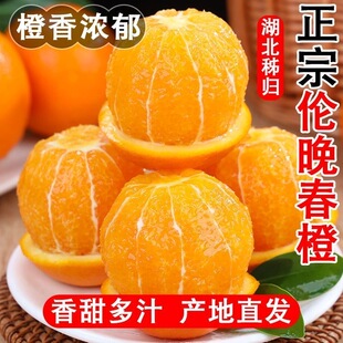 正宗伦晚脐橙春橙秭归橙子当季新鲜水果整箱手剥果冻甜榨汁大果