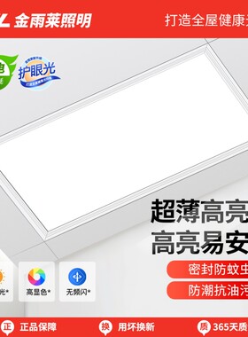 走廊过道集成吊顶灯LED平板灯