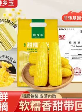 黄糯玉米非转基因东北玉米减脂代餐新鲜糯玉米加热即食早餐饱腹