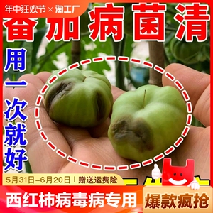 西红柿病毒病专用药防裂果杀菌防腐番茄卷叶果腐炭疽灰霉病叶面肥