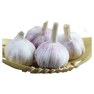 超值正宗紫皮大蒜头干蒜农家新鲜蒜子特大果批发价种植好评便宜