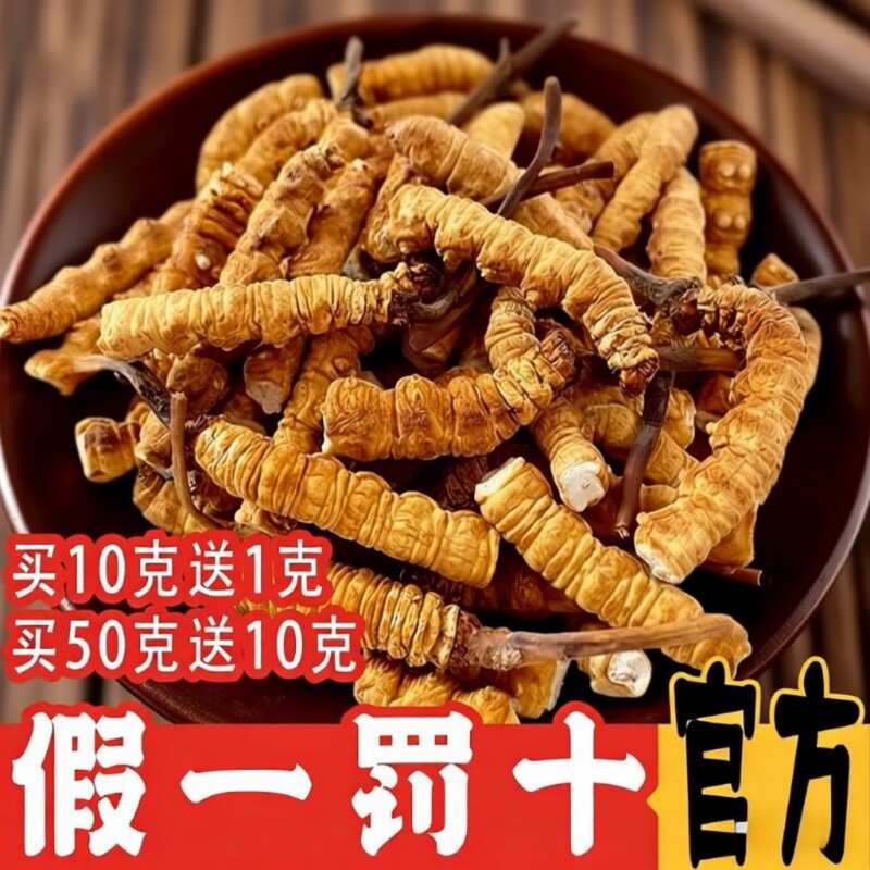 冬虫夏草2026西藏那曲头期大断草干货正宗官方 正品营养滋补
