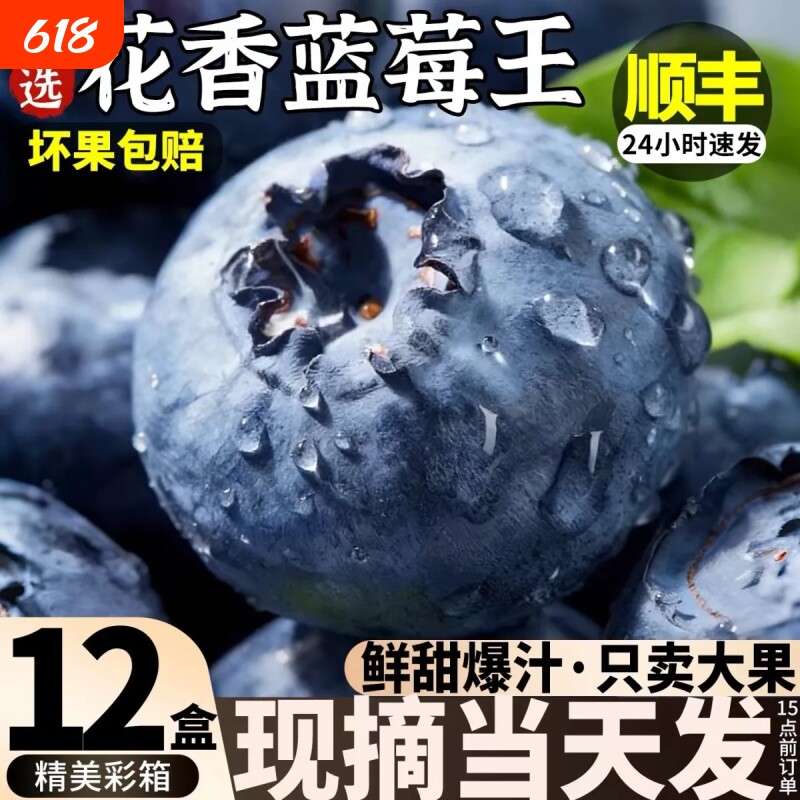 顺丰包邮丹东蓝莓新鲜水果当季L25鲜果现摘花香高山孕妇大果采摘