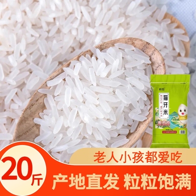 南方大米丝苗米10斤/20斤当季新米晚稻米猫牙香米长粒家用米饭