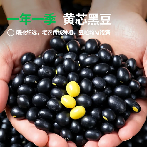 东北农家5斤黄芯黑豆早餐豆浆五谷杂粮健康黄豆源头优质美食甄选