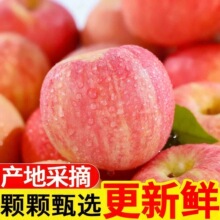 陕西红富士苹果当季新鲜水果4.5斤