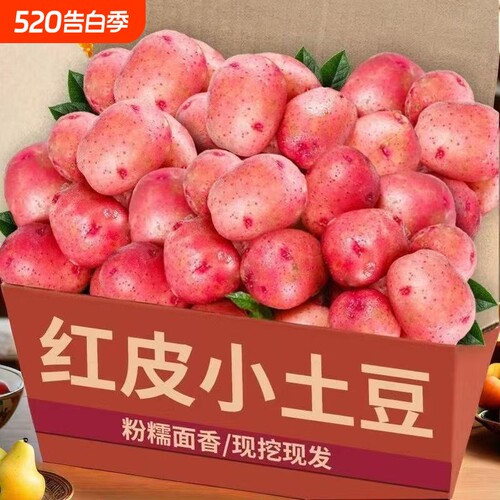 红皮黄心小土豆新鲜洋芋马铃薯现挖精品新鲜蔬菜批发5斤包邮9斤装