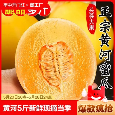 黄河蜜瓜10斤新鲜水果整箱甜瓜