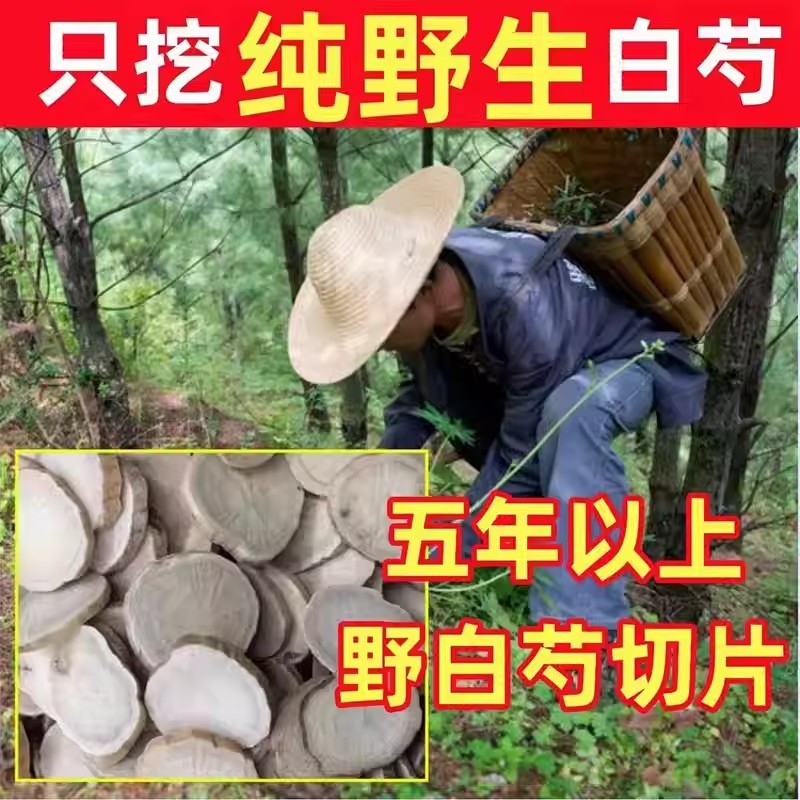白芍中药材正品无硫白勺大片生白芍白芍白术白茯苓甘草三白汤原料