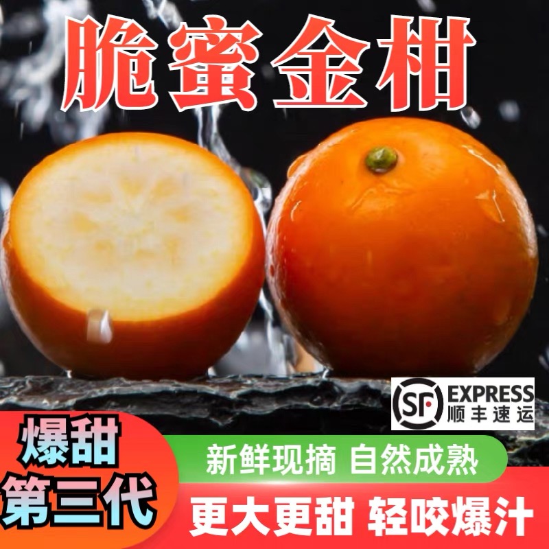正宗广西融安脆蜜金柑鲜果第三代脆蜜金桔大果独立包装水果礼盒装