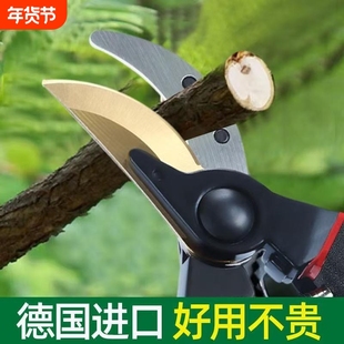 修剪树枝专用剪刀园艺修枝剪刀果树修枝剪园林花艺花卉高硬度