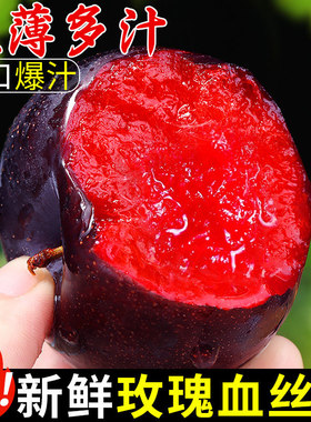 李子新鲜水果黑布林大李子玫瑰李