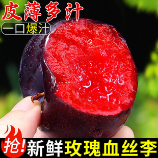 李子新鲜水果黑布林大李子玫瑰李红心李子鸡血李孕妇应季特产水果