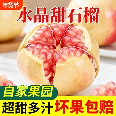 现货陕西突尼斯软籽石榴