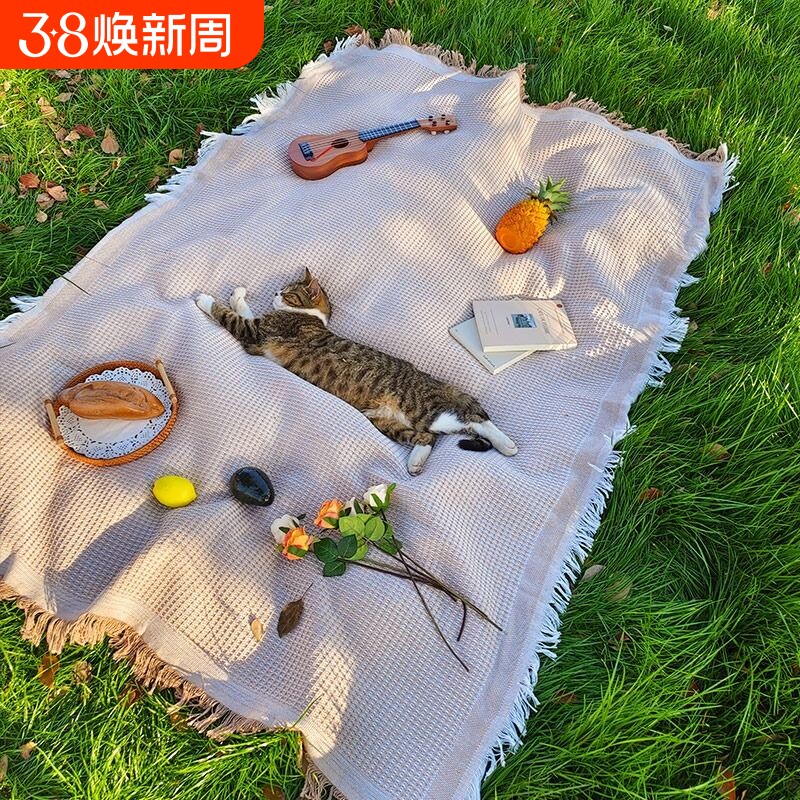春日野餐垫防潮垫野餐布户外露营白色毯子沙滩垫帐篷公园地垫法式