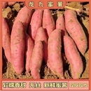 龙九红薯新鲜10斤红心蜜薯农家自种烟薯沙地板栗小香薯黄心食用