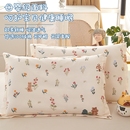 全棉一对40x60小号30x50单个3岁时光家居 儿童枕套100纯棉枕头套装