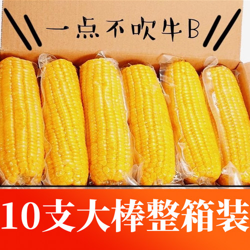 2025东北黄糯玉米香糯玉米早餐真空包装东北粘糯玉米棒黄金甜玉米