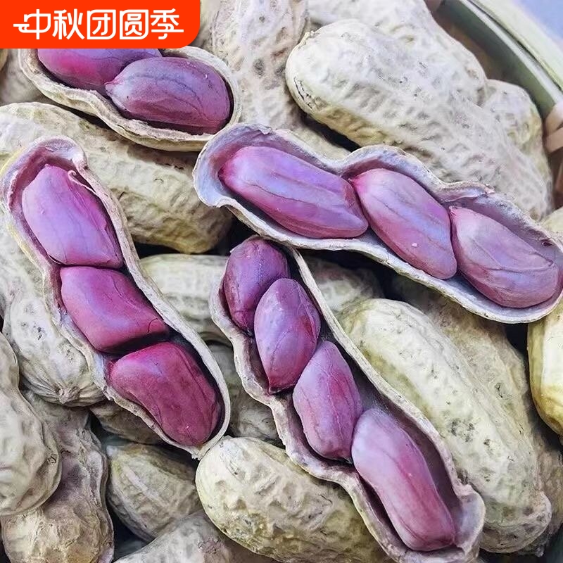 怪味多正宗农家新鲜龙岩湿烤红衣花生咸香味酥脆美味特产零食