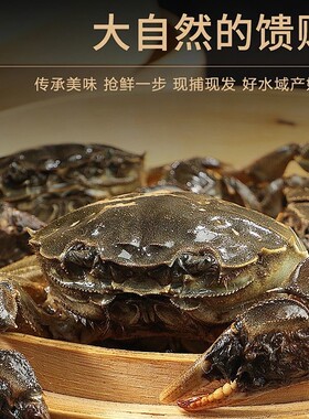 鲜活大闸蟹螃蟹六月黄产地兴化活鲜香辣蟹河蟹毛蟹顺丰包邮水产