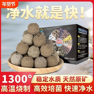 粹昊原矿纳米球滤材鱼缸鱼池过滤材料纳米球生化培菌净水