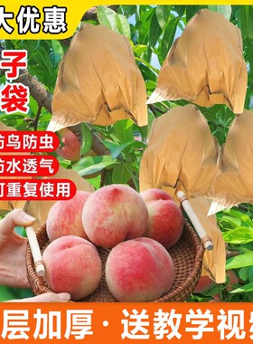桃子专用果袋防鸟虫防水透气