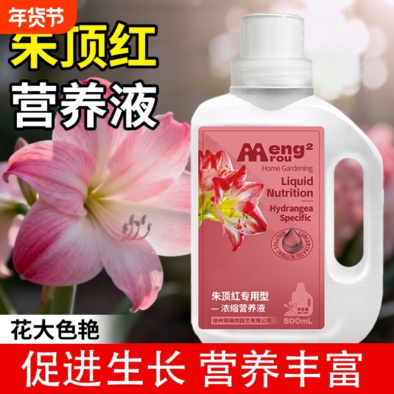 朱顶红营养液专用肥料室内盆栽植物富贵花促开花爆盆开花肥氮磷钾,鲜花速递/花卉仿真/绿植园艺,家庭园艺肥料,淘宝优惠券,粉丝福利购,淘宝优惠卷