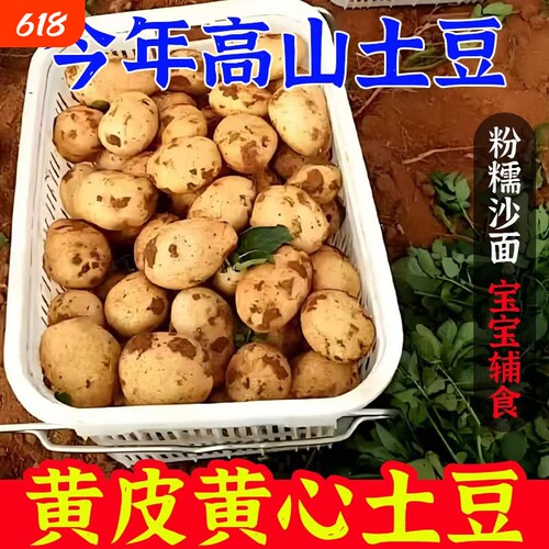 黄心大土豆黄皮软糯香甜