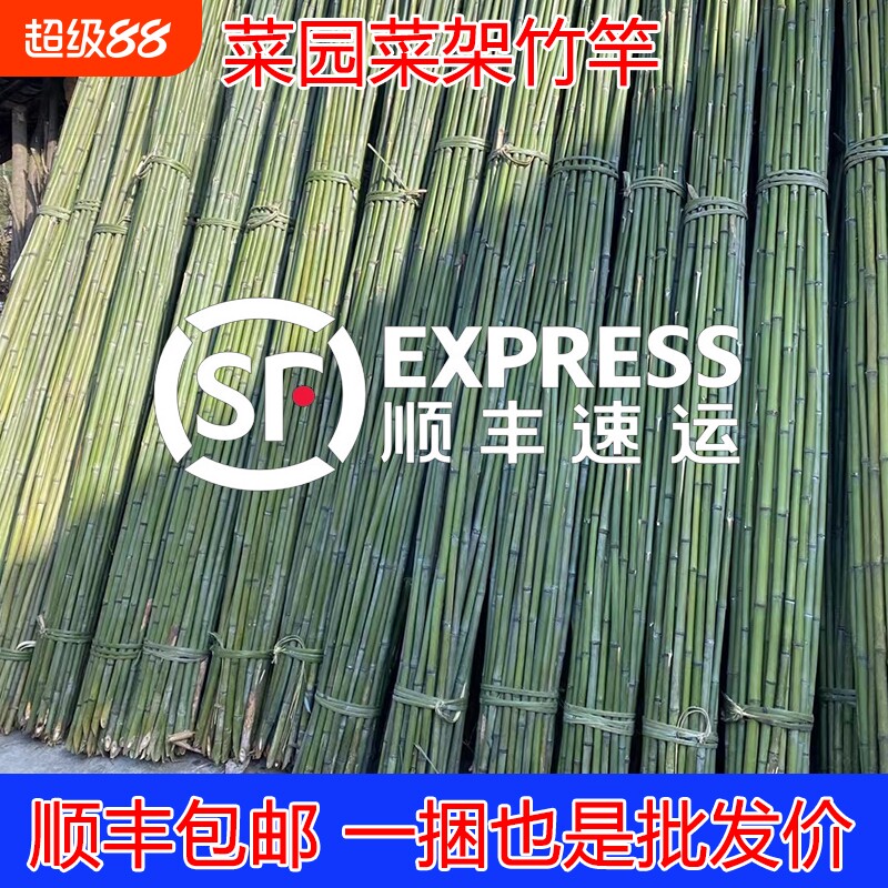 竹竿菜园搭架蔬菜黄瓜番茄豆角架图片