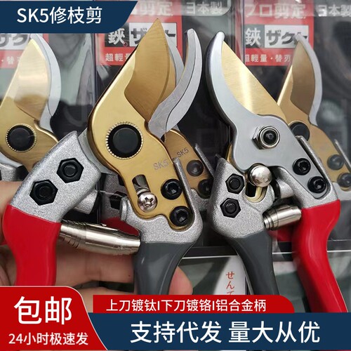 钢剪树剪子果树剪修枝剪粗枝剪园艺剪刀家用葡萄修剪弹簧高硬度
