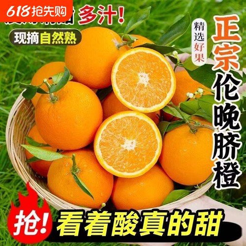 正宗秭归伦晚春橙脐橙农家自种新鲜现摘爆甜水果皮薄多汁香甜可口
