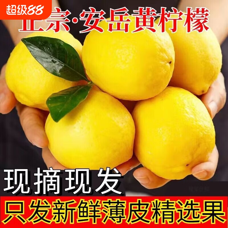 柠檬四川安岳黄柠檬新鲜水果图片